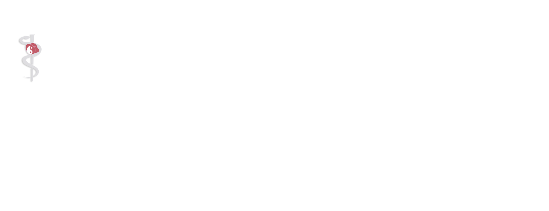 durchsichtiges Bild mit Logo Wasserzeichen